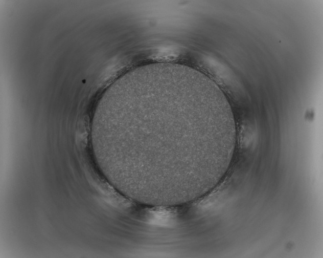 X0000097660370200803142137