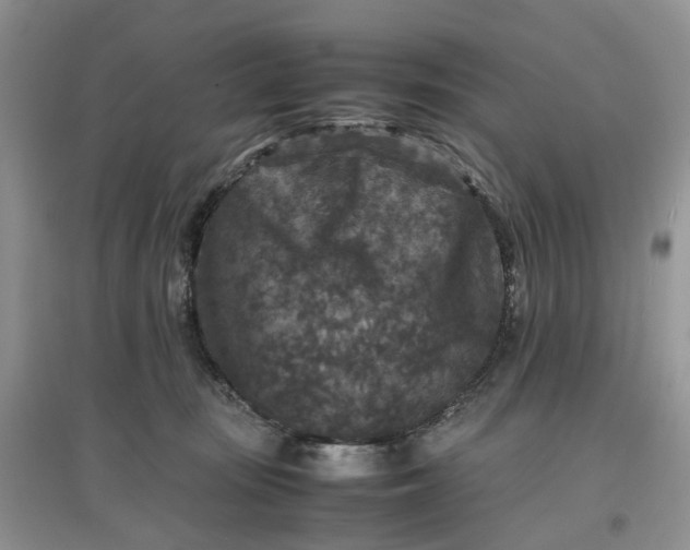 X0000097660371200803142137