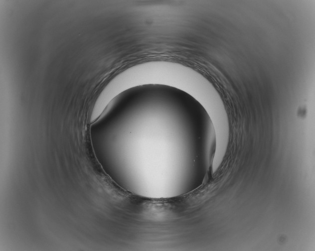 X0000097660372200803142137