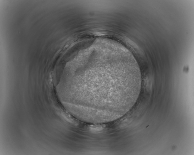 X0000097660373200803142137