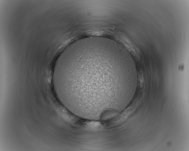 X0000097660374200803142137