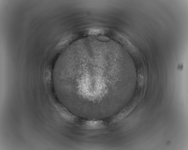 X0000097660375200803142137