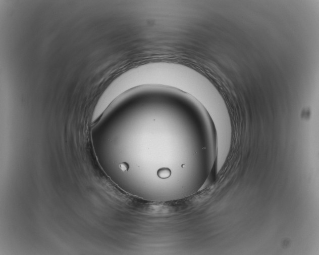X0000097660376200803142137
