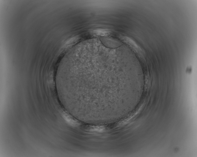 X0000097660377200803142137