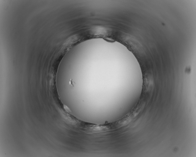 X0000097660379200803142137