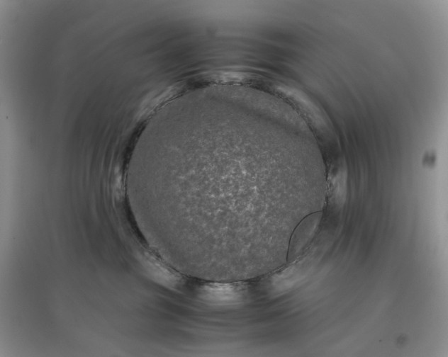 X0000097660381200803142138
