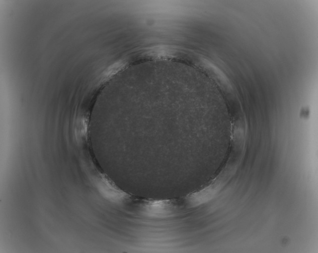 X0000097660382200803142138