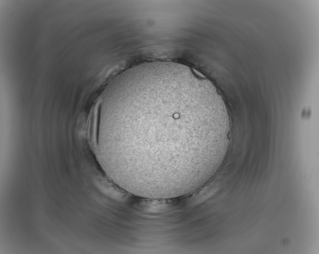 X0000097660384200803142138