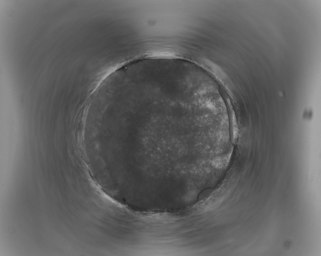 X0000097660385200803142137