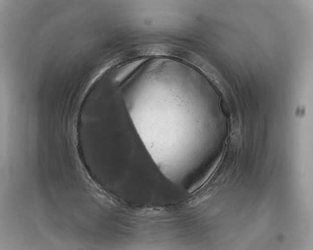 X0000097660386200803142137