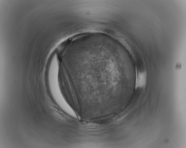 X0000097660387200803142137