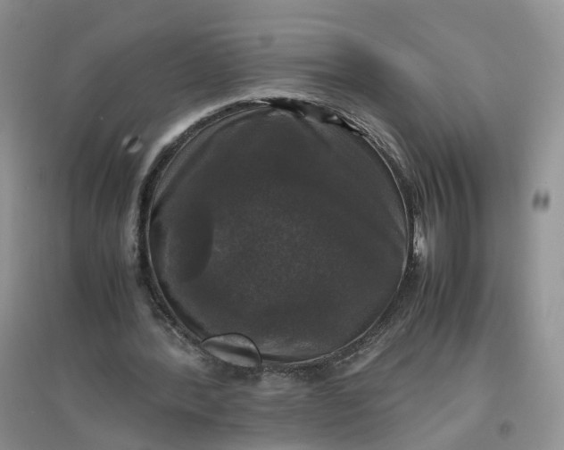 X0000097660388200803142137