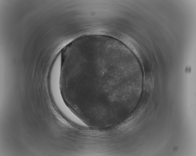 X0000097660389200803142137