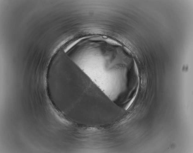 X0000097660390200803142137