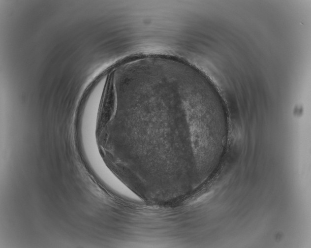 X0000097660391200803142137