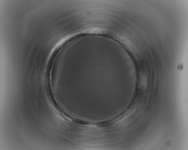 X0000097660392200803142137