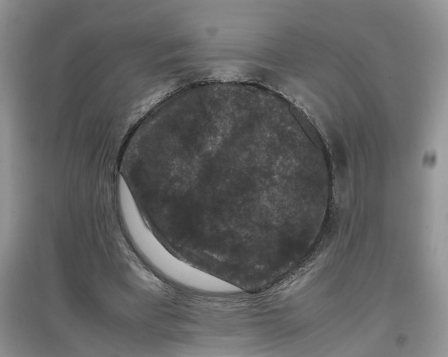 X0000097660393200803142137