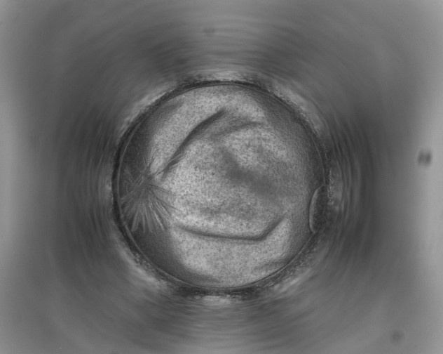 X0000097660394200803142137