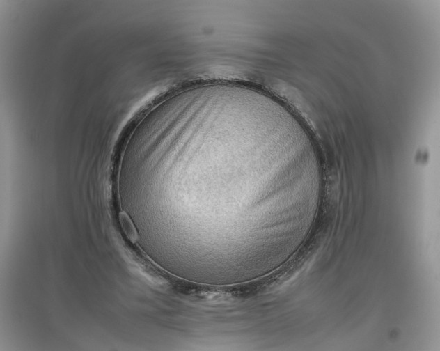 X0000097660395200803142137