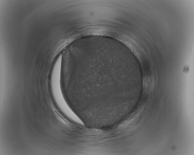 X0000097660397200803142137