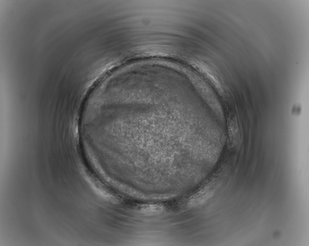 X0000097660398200803142137