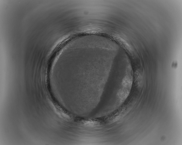 X0000097660400200803142137