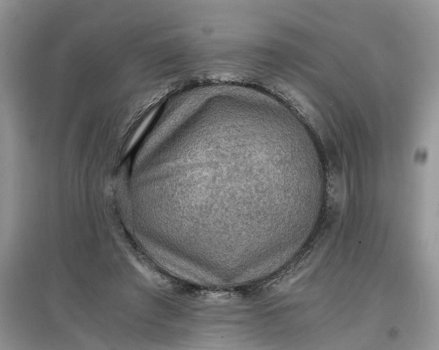 X0000097660401200803142137