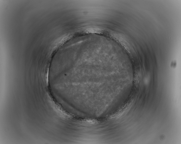 X0000097660402200803142136