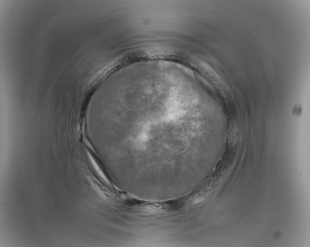 X0000097660405200803142136