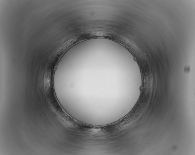 X0000097660406200803142136