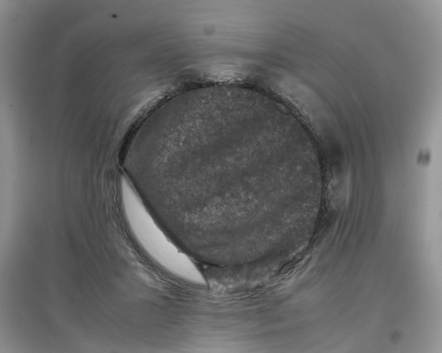 X0000097660407200803142136
