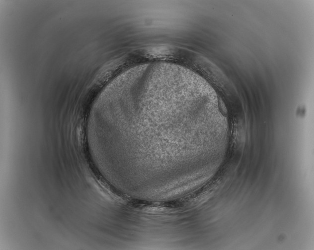 X0000097660408200803142136