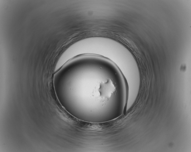 X0000097660409200803142136