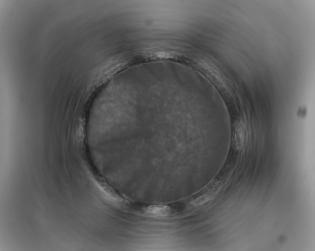 X0000097660410200803142136