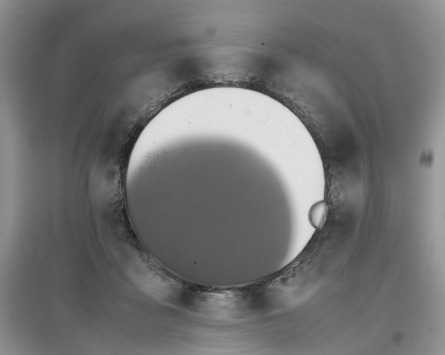X0000097660411200803142136