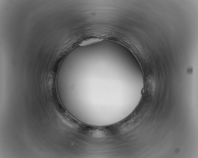 X0000097660412200803142136