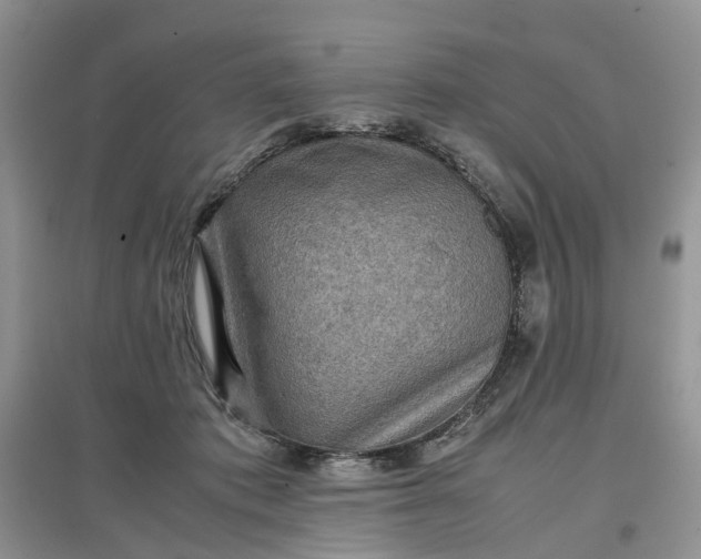 X0000097660413200803142136