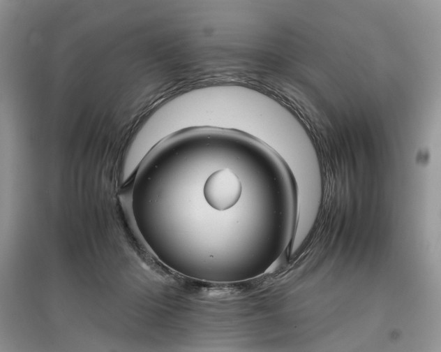 X0000097660414200803142136