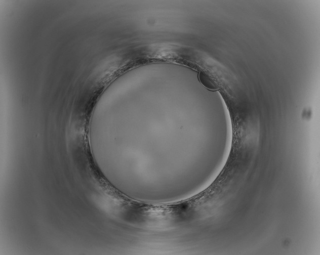 X0000097660415200803142136