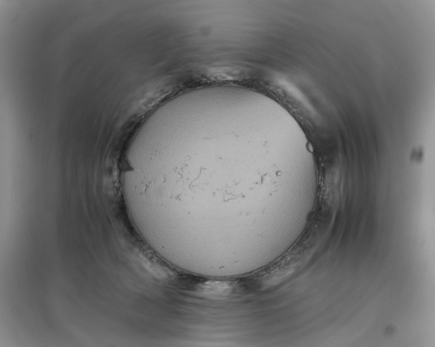 X0000097660418200803142136