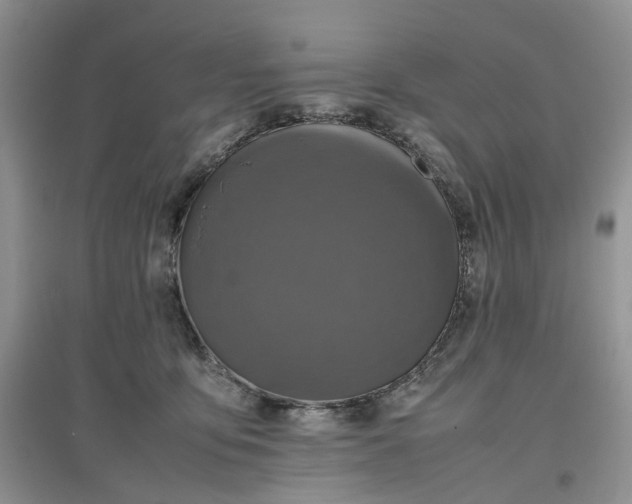 X0000097660419200803142136