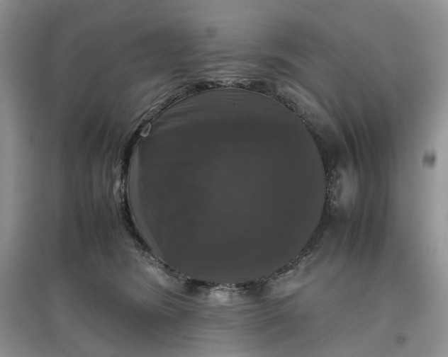 X0000097660420200803142136
