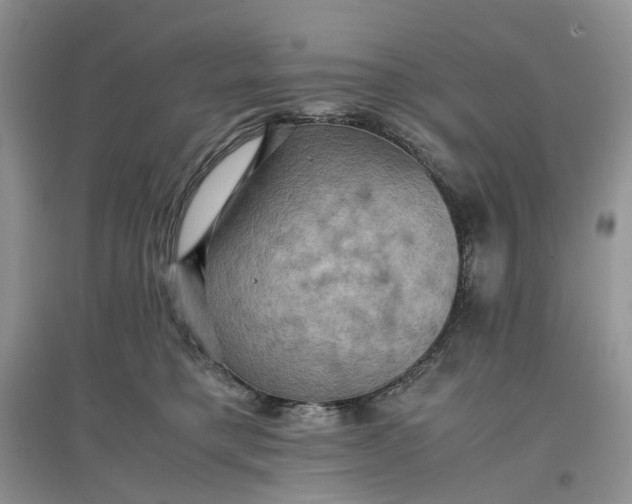 X0000097660421200803142136