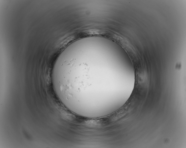 X0000097660422200803142136