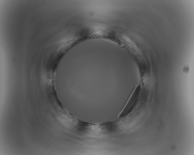 X0000097660423200803142136