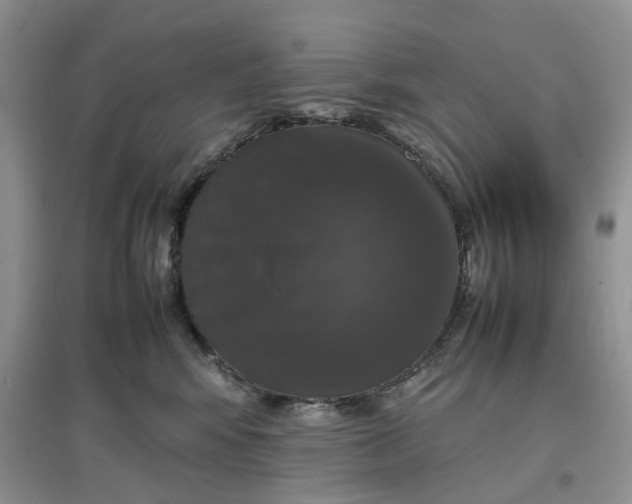 X0000097660424200803142136