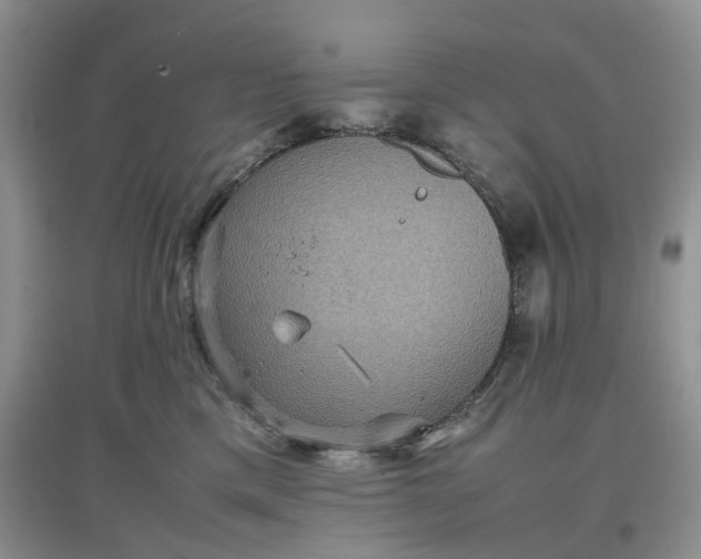 X0000097660425200803142136