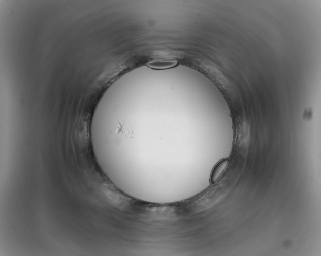 X0000097660426200803142136