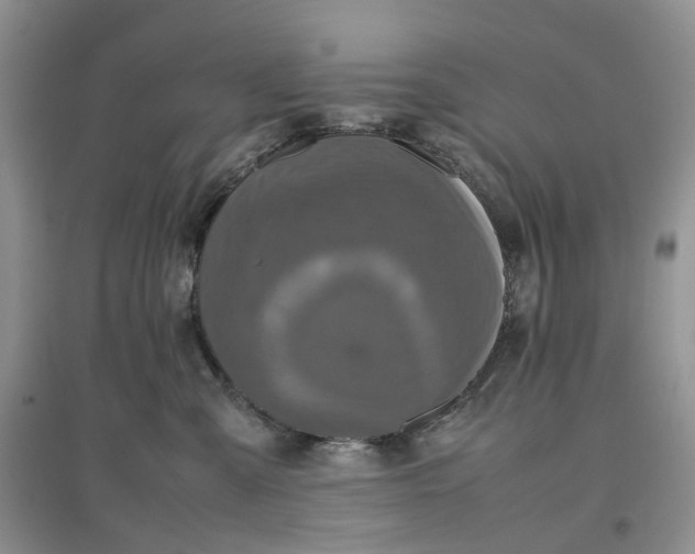 X0000097660427200803142136