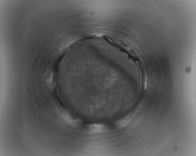 X0000097660428200803142136